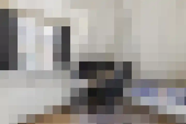 Jan de Bakkerstraat 28 Woerden thumbnail 17