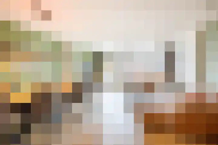 Jan de Braylaan 11 Lopik thumbnail 12