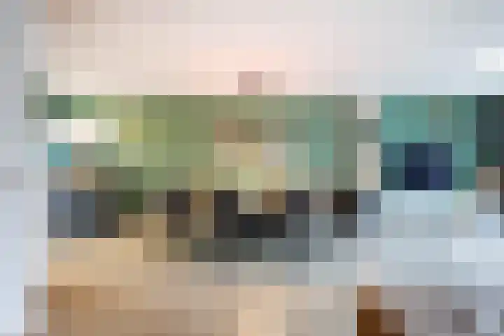 Jan de Braylaan 11 Lopik thumbnail 13