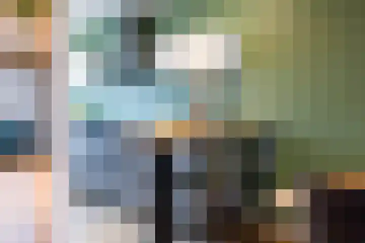 Jan de Braylaan 11 Lopik thumbnail 15