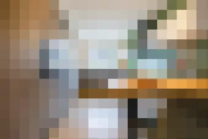 Jan de Braylaan 11 Lopik thumbnail 16