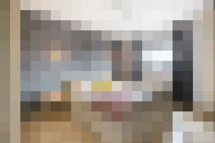 Jan de Braylaan 11 Lopik thumbnail 19