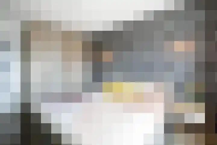 Jan de Braylaan 11 Lopik thumbnail 20
