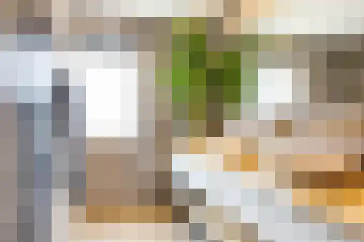 Jan de Braylaan 11 Lopik thumbnail 21