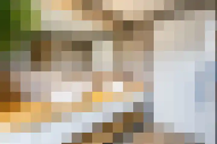 Jan de Braylaan 11 Lopik thumbnail 22