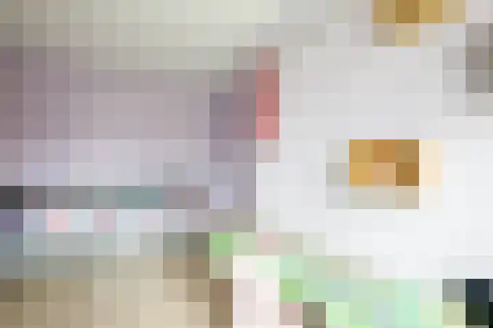 Jan de Braylaan 11 Lopik thumbnail 25