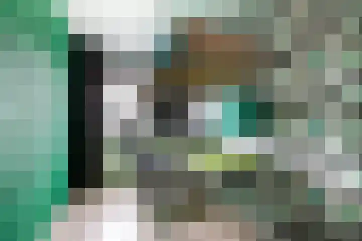 Jan de Braylaan 11 Lopik thumbnail 26