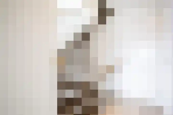 Jan de Braylaan 11 Lopik thumbnail 27