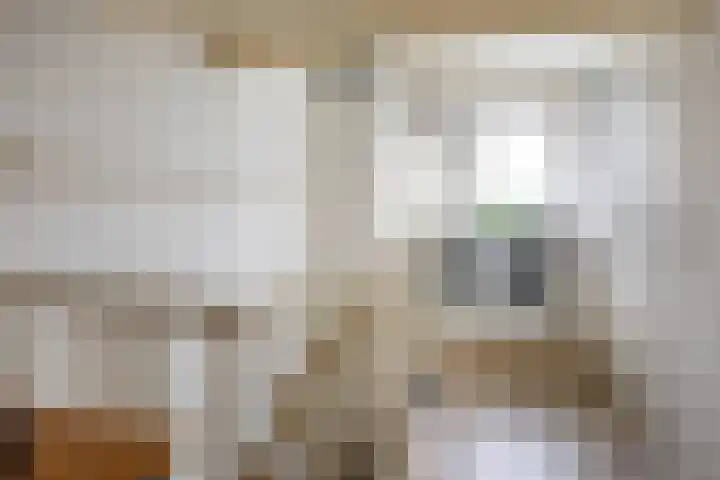 Jan de Braylaan 11 Lopik thumbnail 28