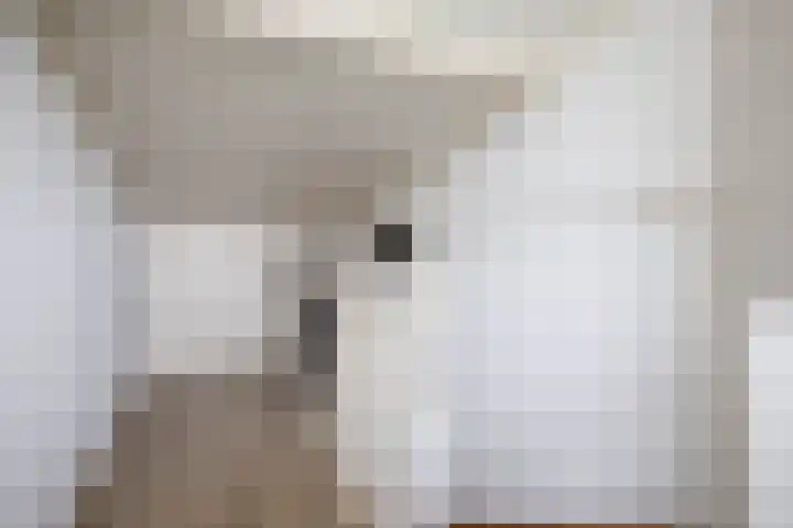 Jan de Braylaan 11 Lopik thumbnail 29