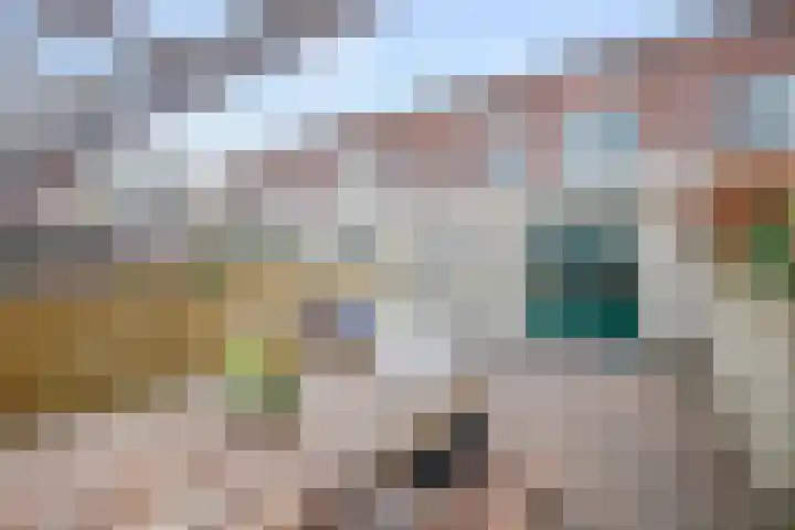 Jan de Braylaan 11 Lopik thumbnail 33