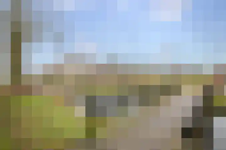 Jan de Braylaan 11 Lopik thumbnail 42