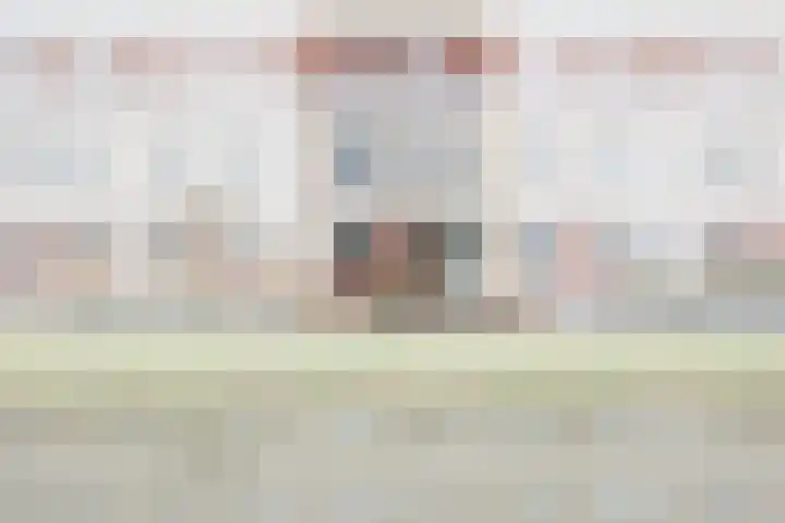 Jan de Braylaan 11 Lopik thumbnail 5