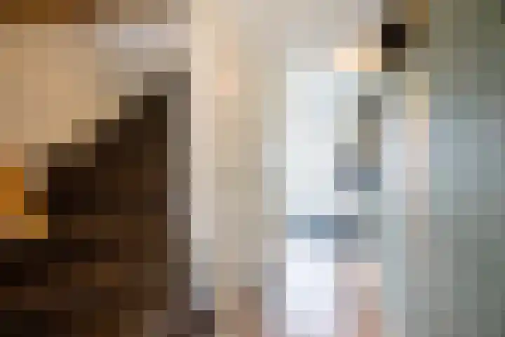 Jan de Braylaan 11 Lopik thumbnail 7
