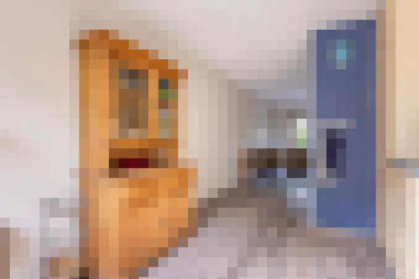 Jan de Braylaan 9 Lopik thumbnail 17