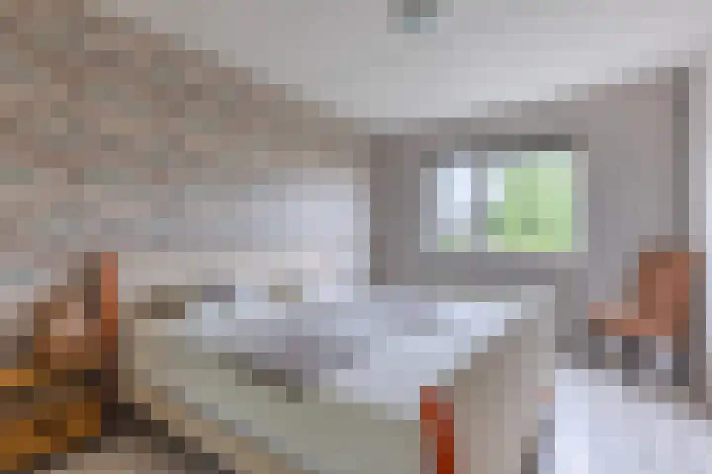 Jan de Braylaan 9 Lopik thumbnail 23