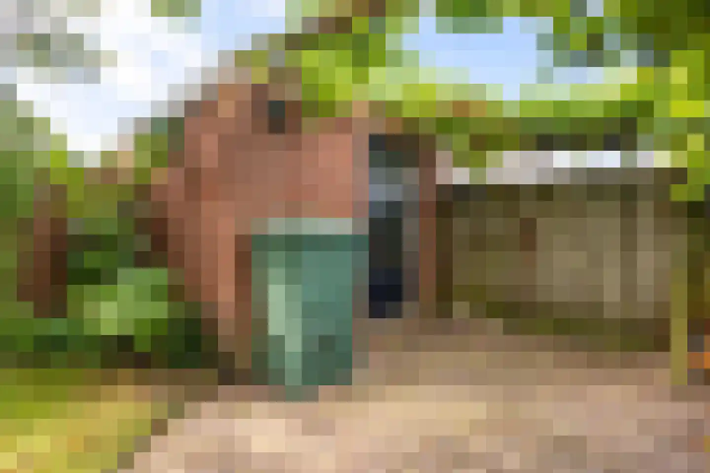 Jan de Braylaan 9 Lopik thumbnail 42