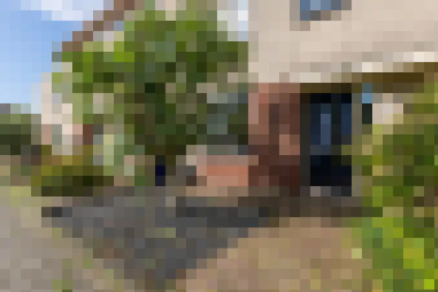 Jan de Braylaan 9 Lopik thumbnail 6