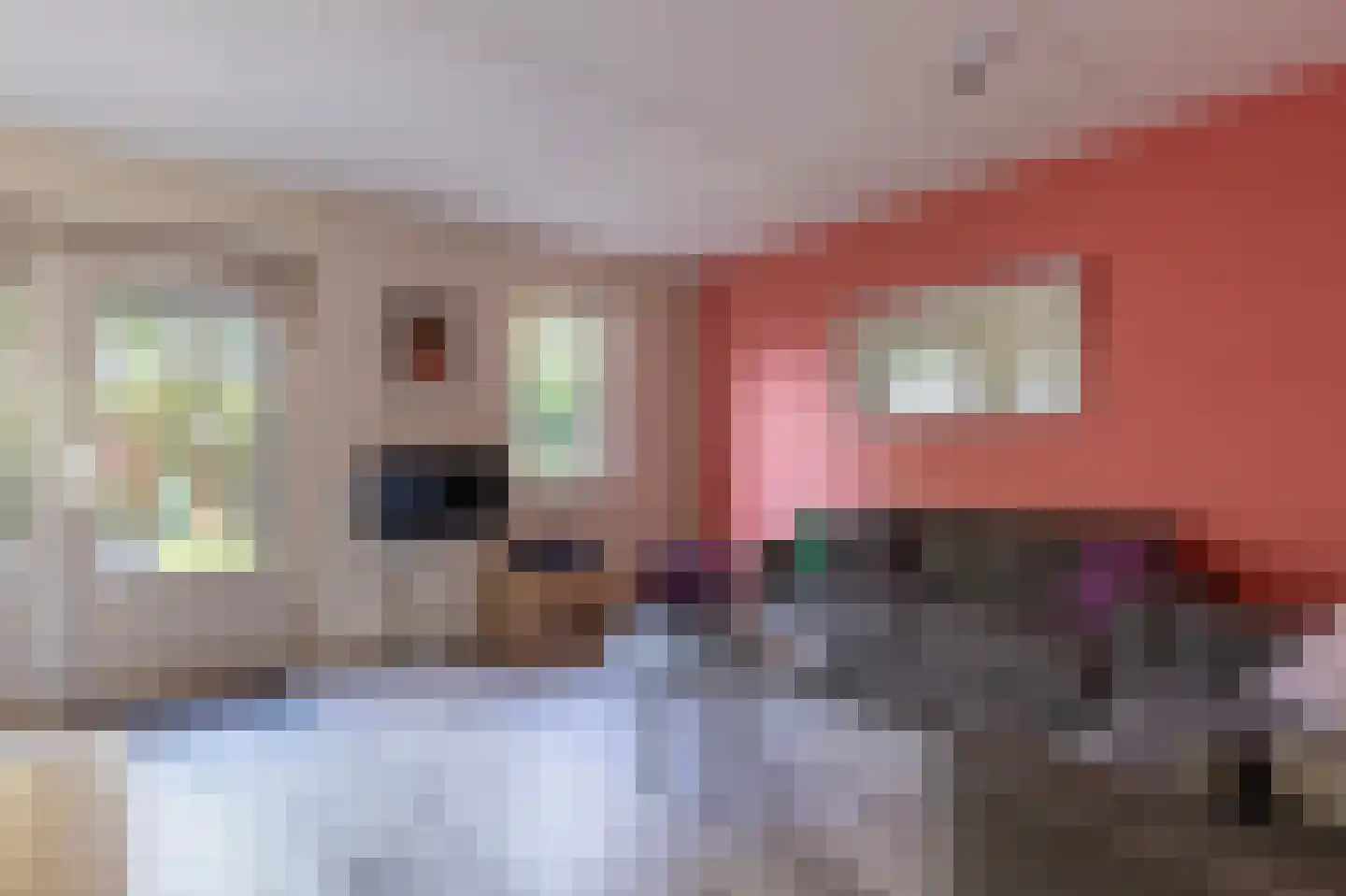 Jan de Braylaan 9 Lopik thumbnail 7