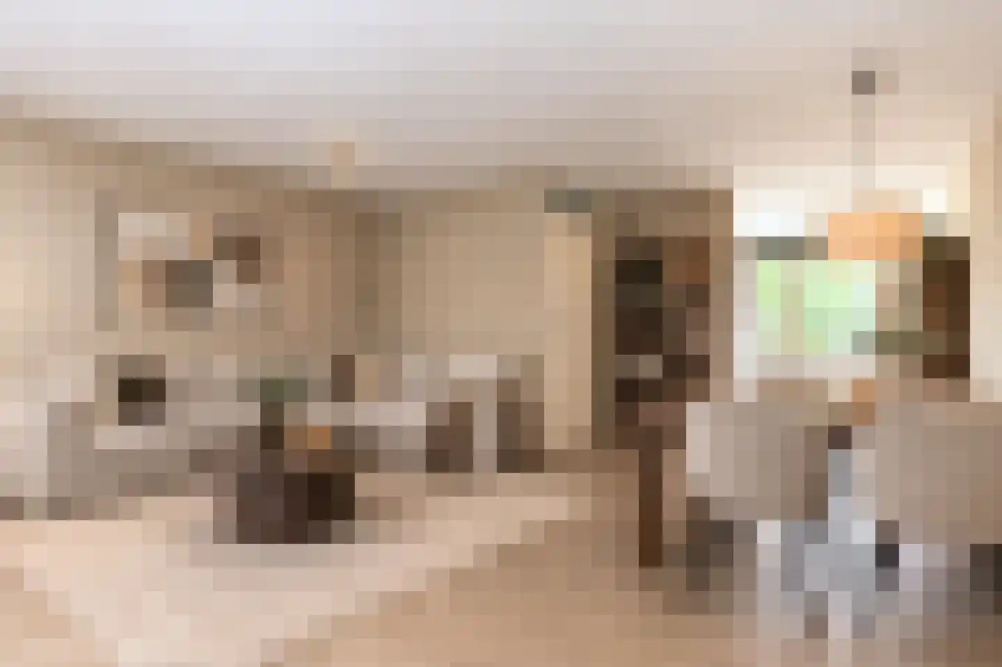 Jan de Braylaan 9 Lopik thumbnail 9