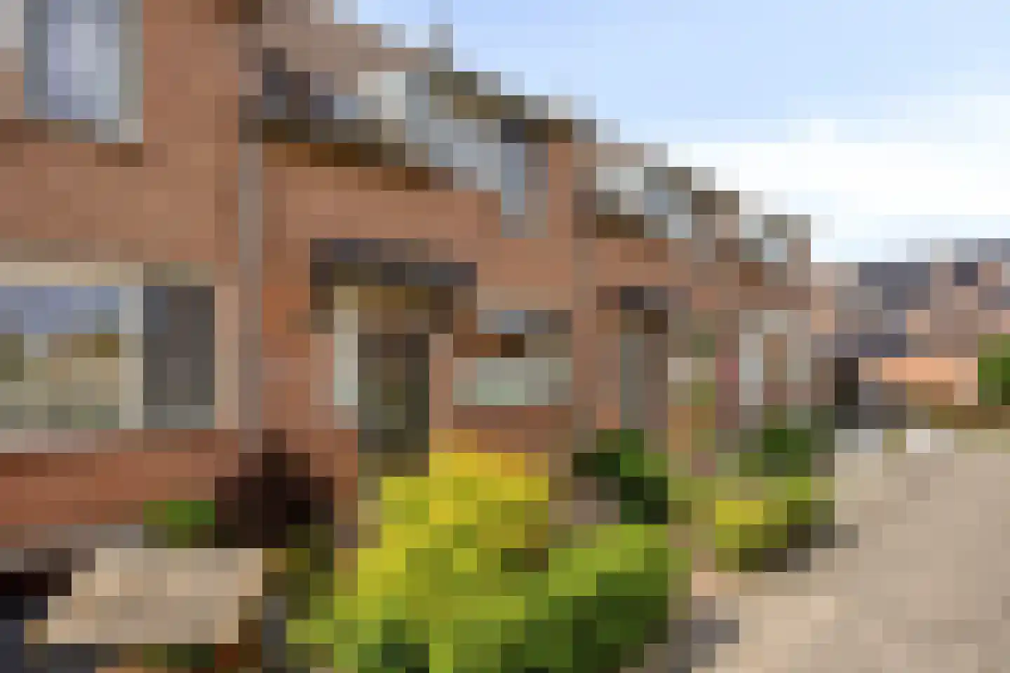 Jan de Geusrede 16 Capelle aan den IJssel thumbnail 24