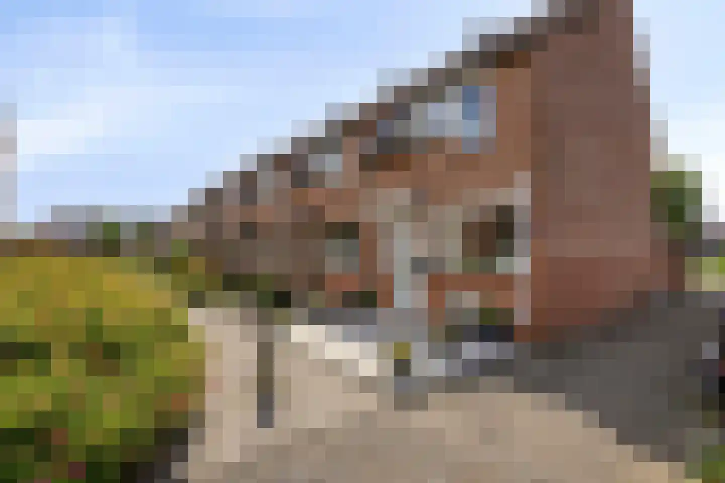 Jan de Geusrede 16 Capelle aan den IJssel thumbnail 27