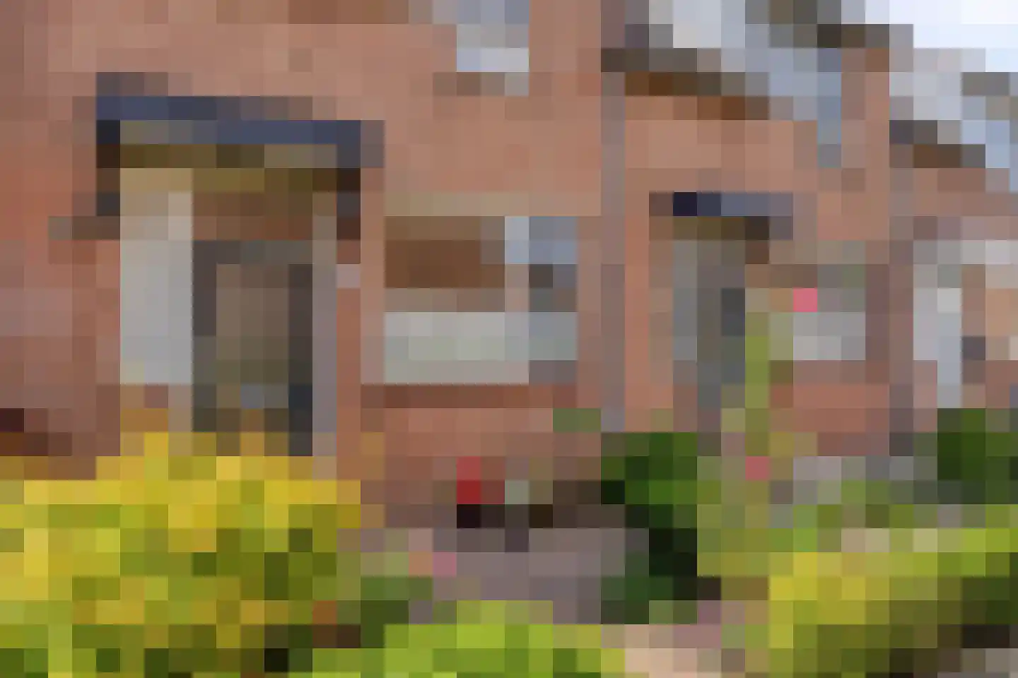 Jan de Geusrede 16 Capelle aan den IJssel thumbnail 28