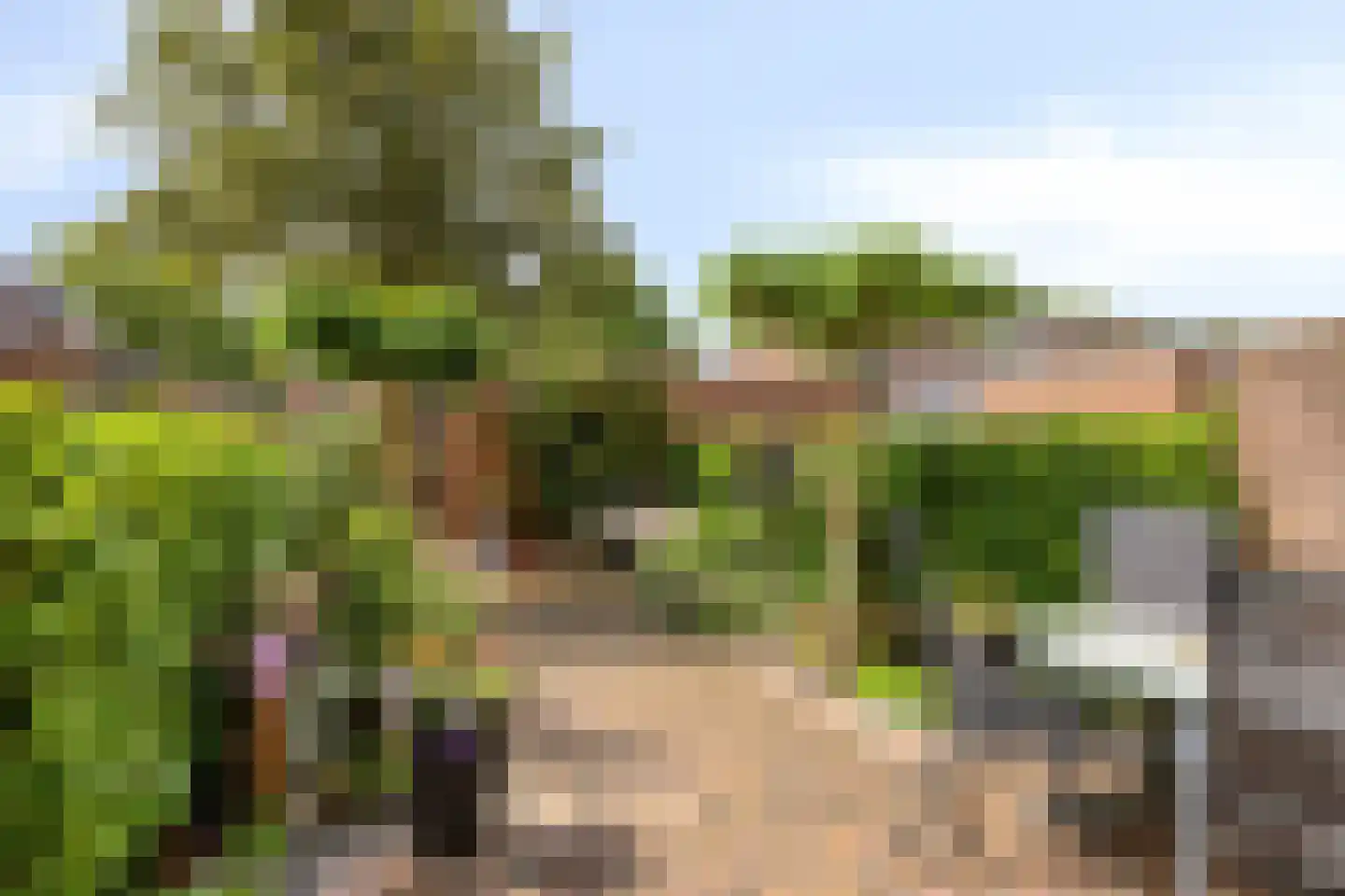 Jan de Geusrede 16 Capelle aan den IJssel thumbnail 29
