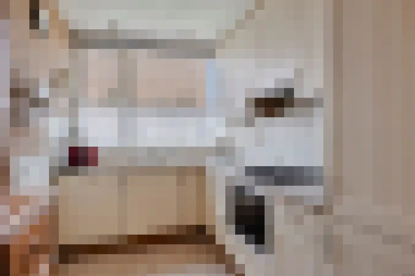 Jan de Geusrede 16 Capelle aan den IJssel thumbnail 4