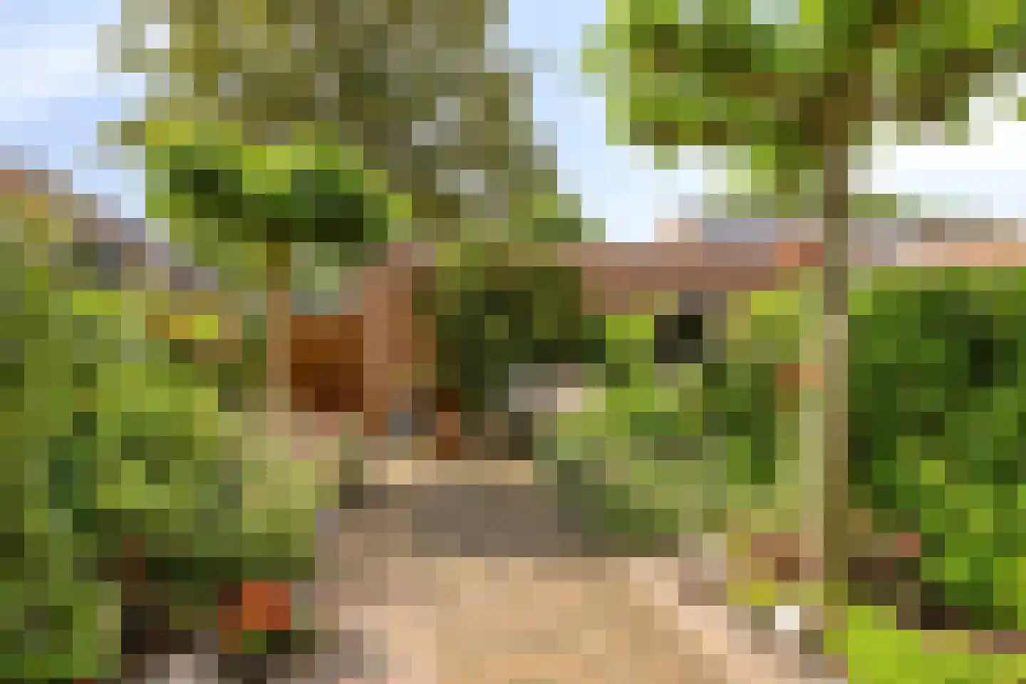 Jan de Geusrede 16 Capelle aan den IJssel thumbnail 7