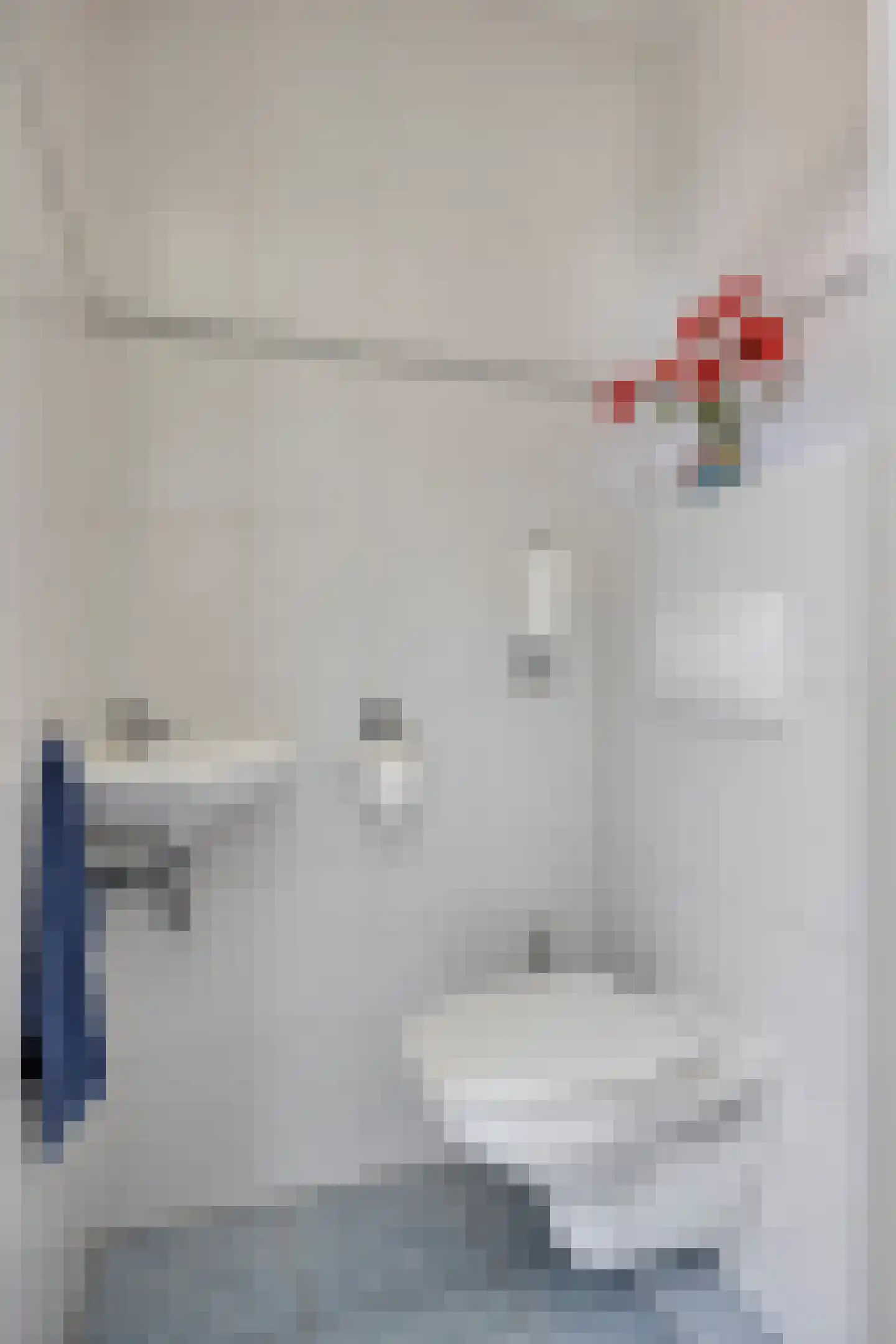 Jan de Geusrede 16 Capelle aan den IJssel thumbnail 8
