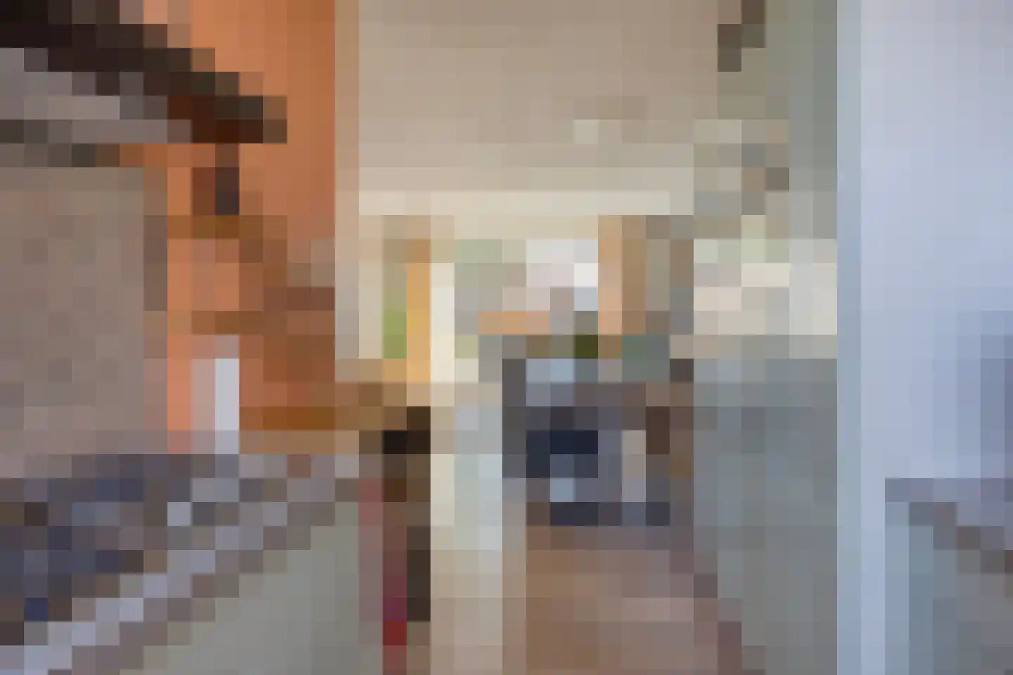 Jan de Geusrede 18 Capelle aan den IJssel thumbnail 14