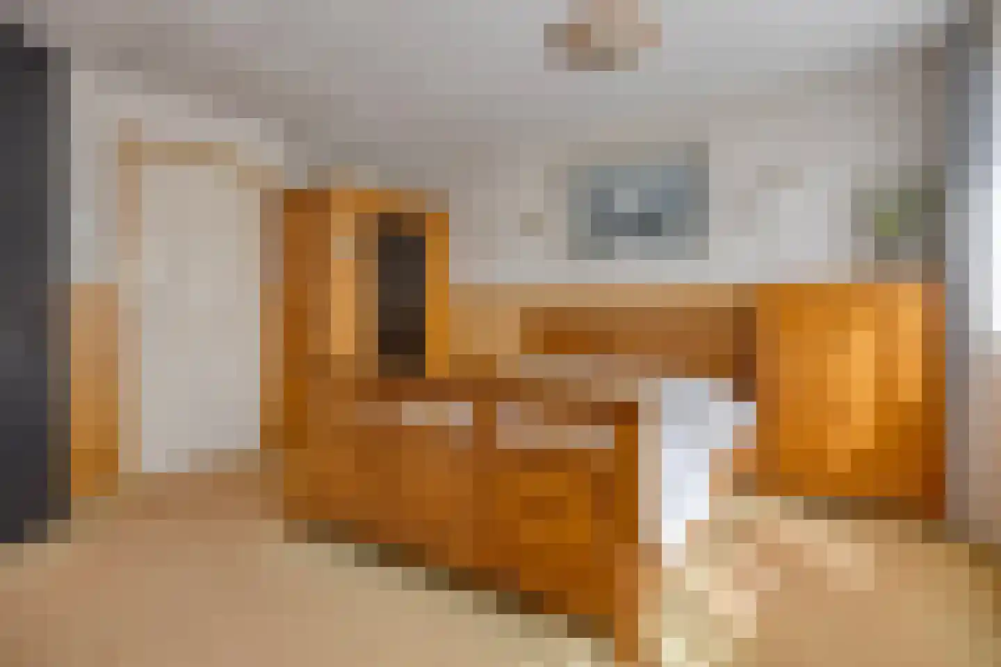Jan de Geusrede 18 Capelle aan den IJssel thumbnail 17