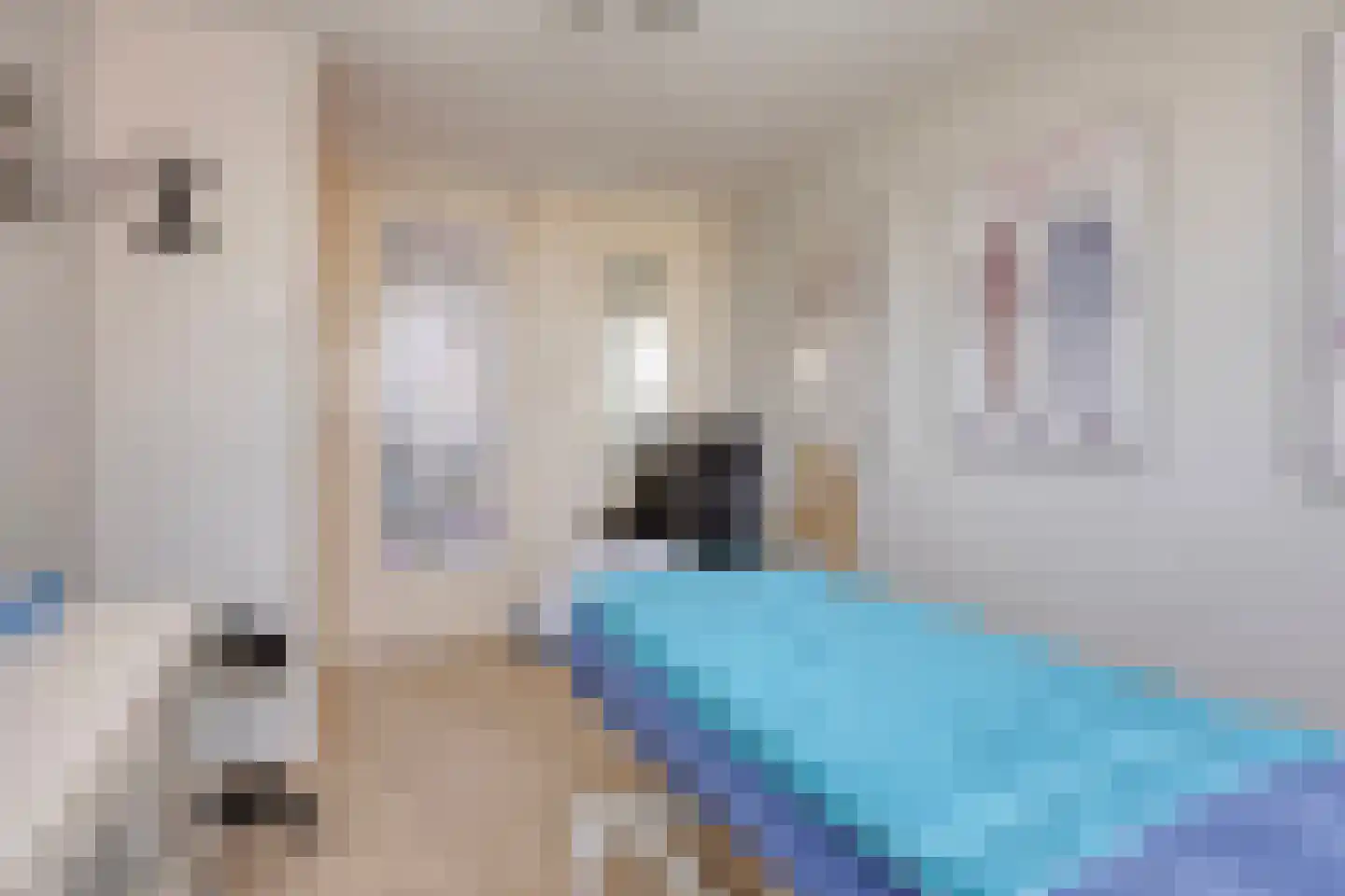 Jan de Geusrede 18 Capelle aan den IJssel thumbnail 21