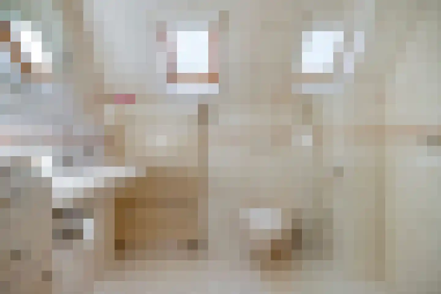 Jan de Geusrede 23 Capelle aan den IJssel thumbnail 13