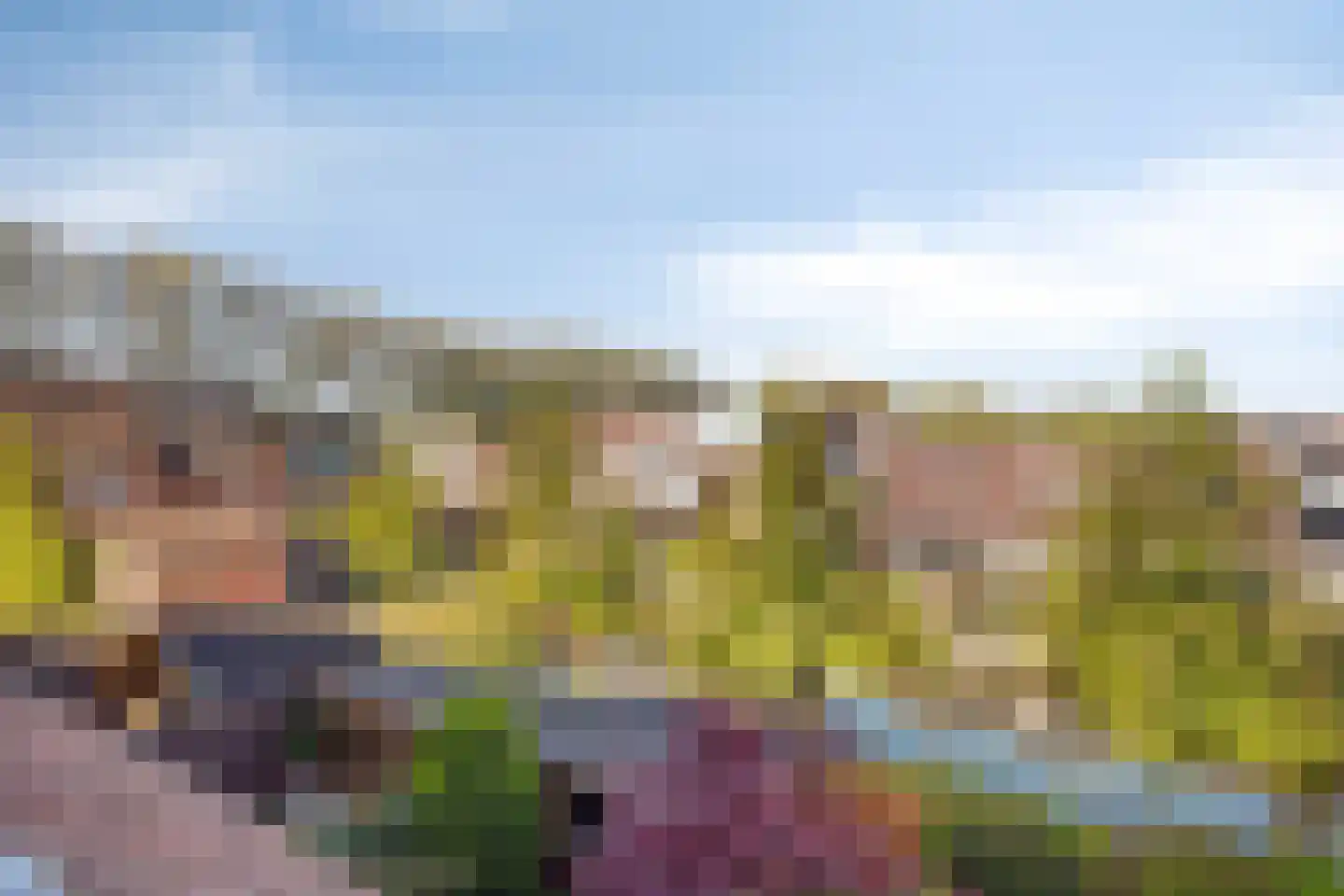 Jan de Geusrede 23 Capelle aan den IJssel thumbnail 17