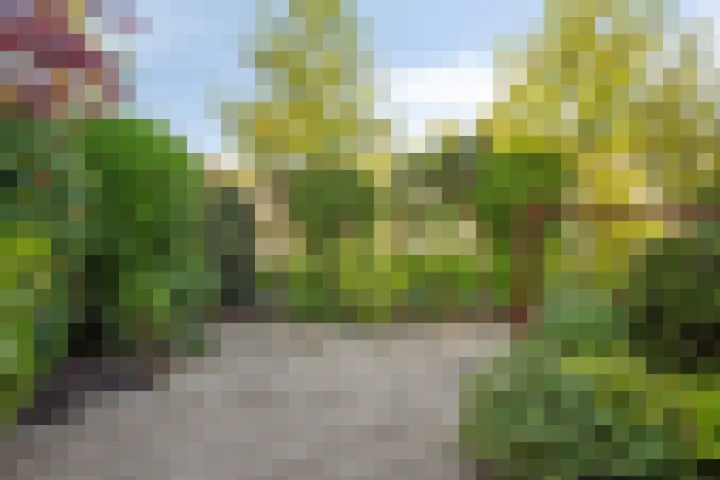Jan de Geusrede 23 Capelle aan den IJssel thumbnail 21