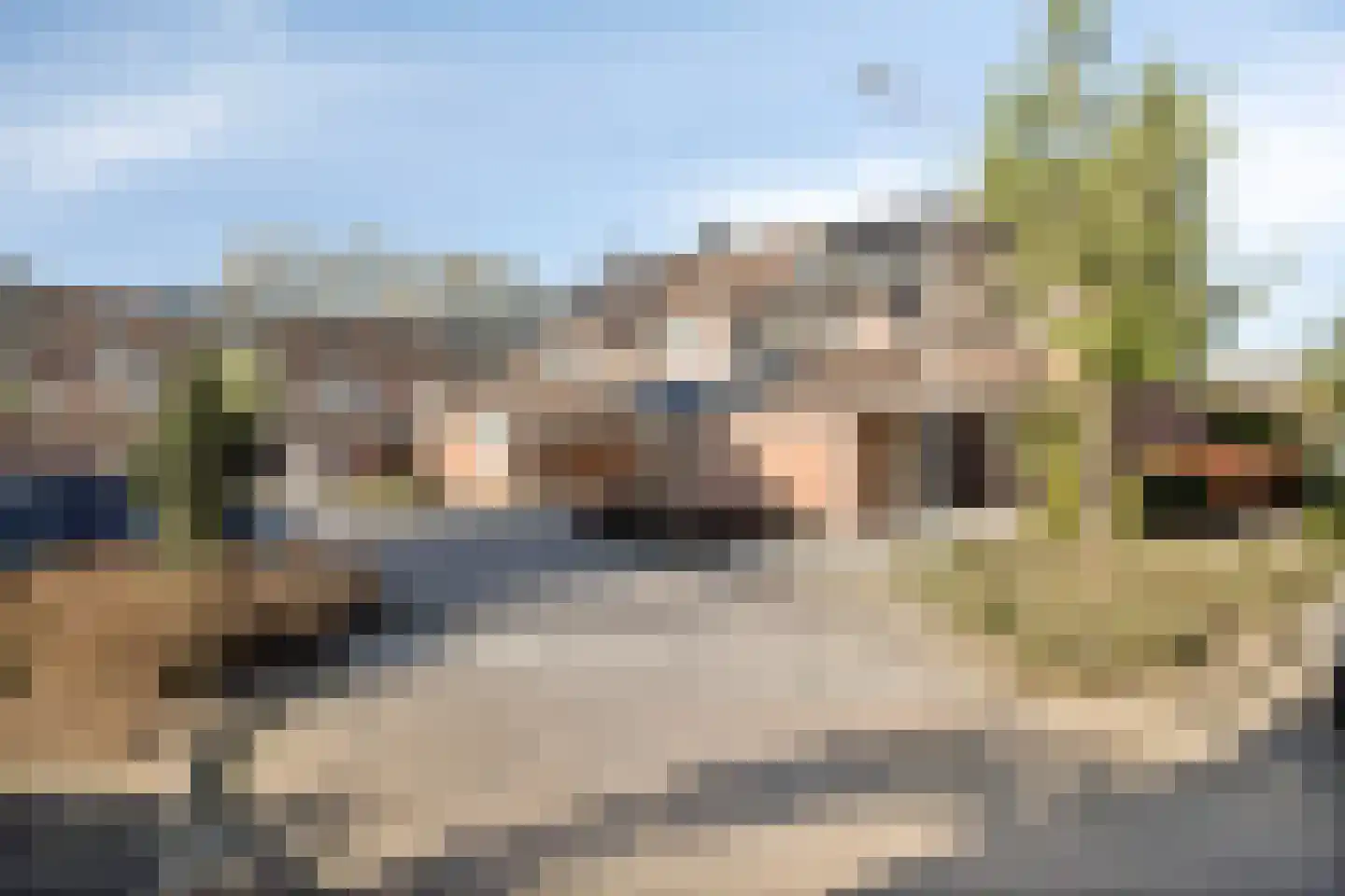 Jan de Geusrede 23 Capelle aan den IJssel thumbnail 25
