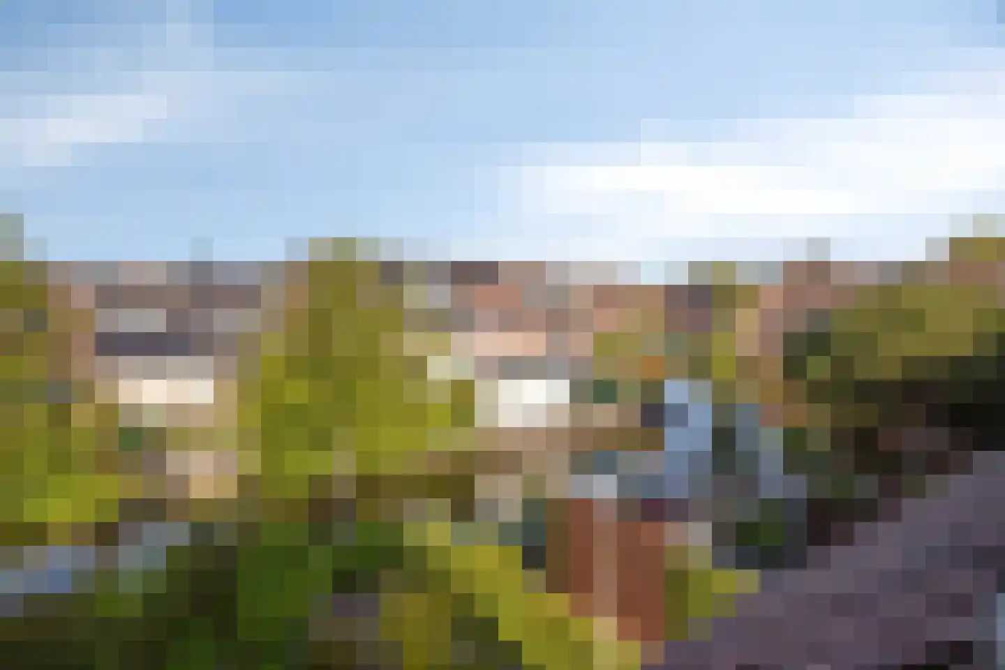 Jan de Geusrede 23 Capelle aan den IJssel thumbnail 4