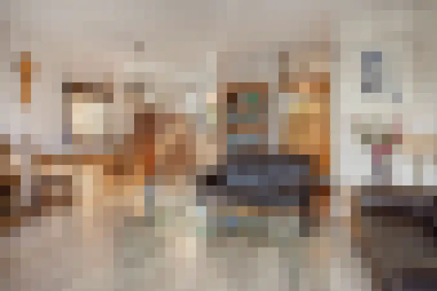 Jan de Geusrede 23 Capelle aan den IJssel thumbnail 6
