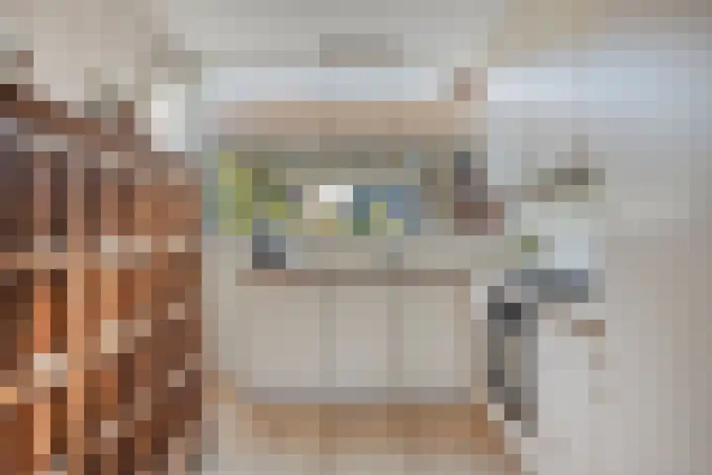 Jan de Geusrede 23 Capelle aan den IJssel thumbnail 7