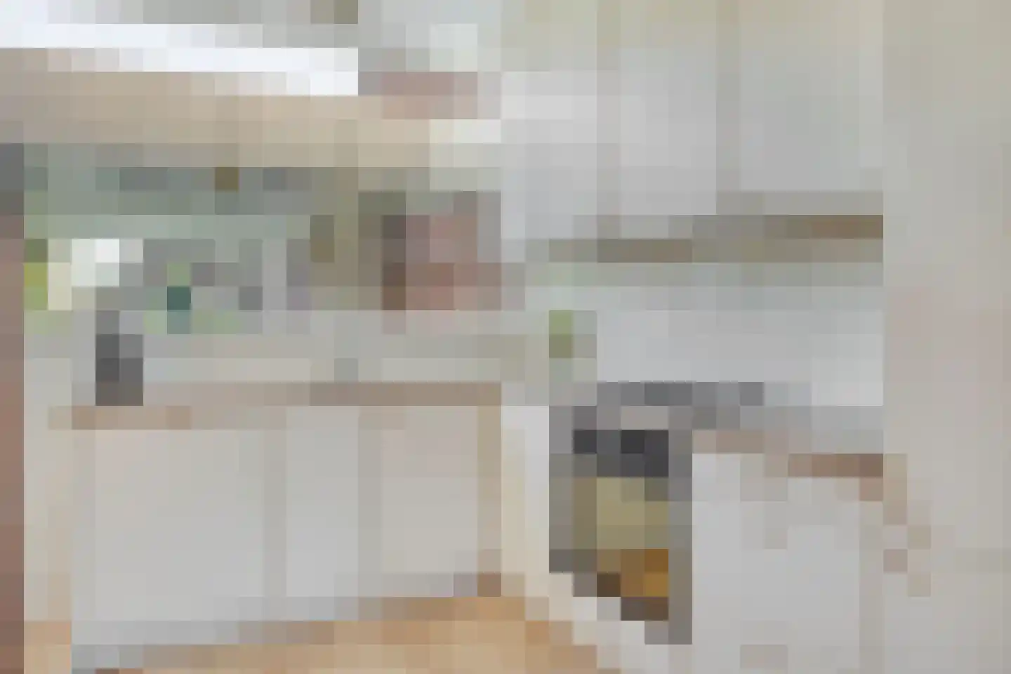 Jan de Geusrede 23 Capelle aan den IJssel thumbnail 8