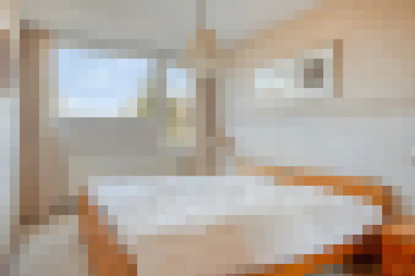 Jan de Geusrede 23 Capelle aan den IJssel thumbnail 9