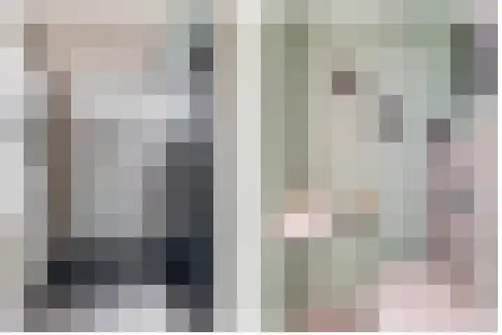 Jan de Geusrede 32 Capelle aan den IJssel thumbnail 13