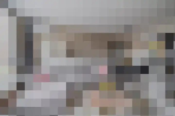 Jan de Geusrede 32 Capelle aan den IJssel thumbnail 15