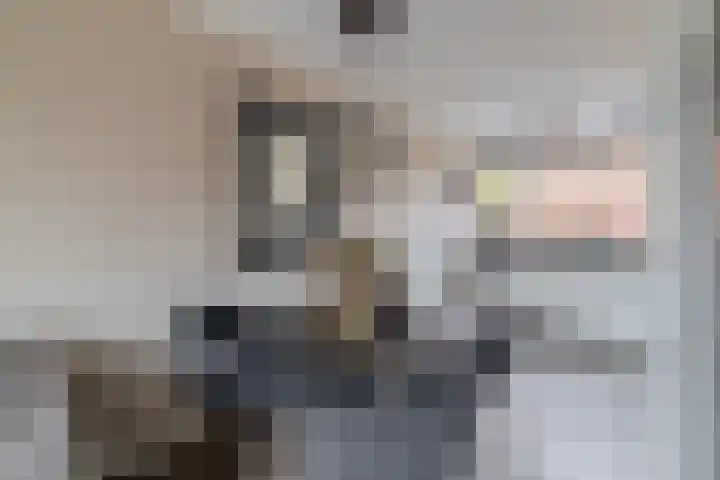 Jan de Geusrede 32 Capelle aan den IJssel thumbnail 17