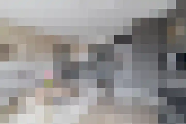 Jan de Geusrede 32 Capelle aan den IJssel thumbnail 18