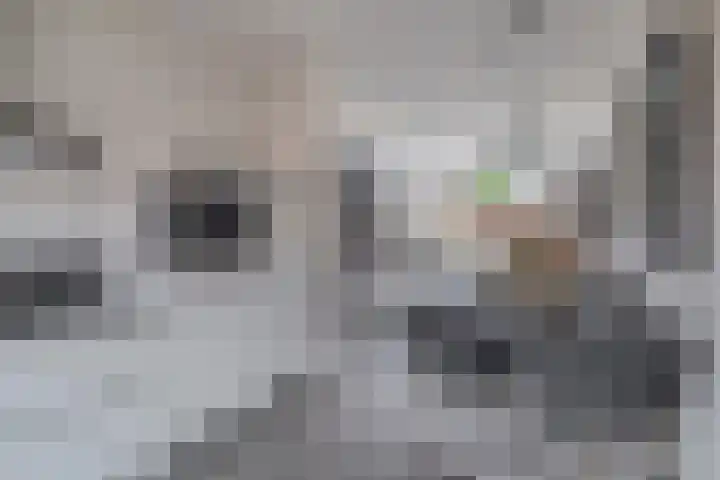 Jan de Geusrede 32 Capelle aan den IJssel thumbnail 20