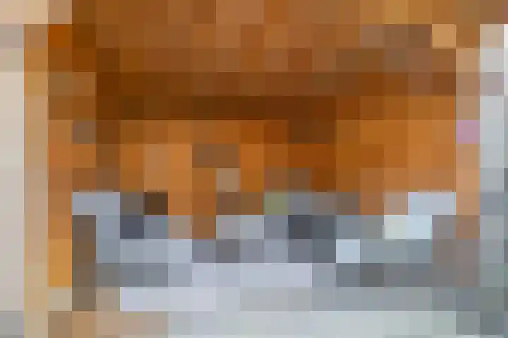 Jan de Geusrede 32 Capelle aan den IJssel thumbnail 25