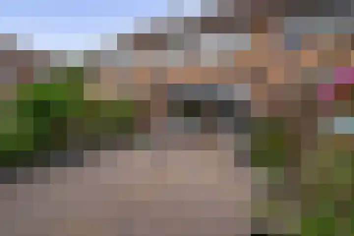 Jan de Geusrede 32 Capelle aan den IJssel thumbnail 26